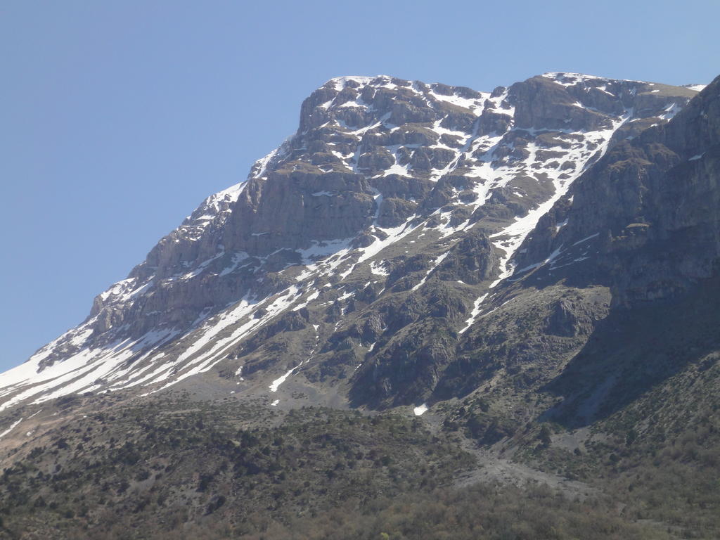 Arkefthos Mountain Hotel 파피그콘 외부 사진